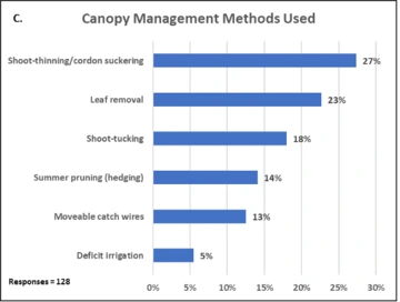 Graphic of Canopy Management Methods Used