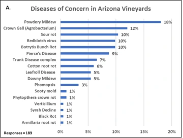 Graphic of Diseases of Concern in Arizona Vineyards