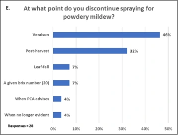 Graphic of At what point do you discontinue spraying for powdery mildew?