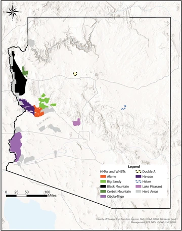 Map of Arizona outlining locations of Wild Horse and Burro herd locations