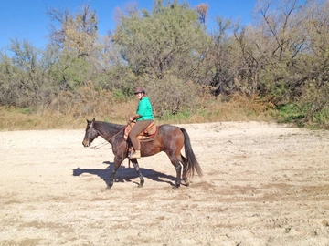 Woman riding bay horse in western tack