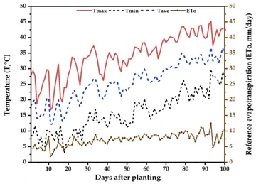 line graph Daily temperatures and reference evapotranspiration patterns during the cantaloupe growing season