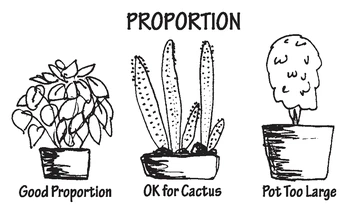 Illustration of indoor plant container proportions