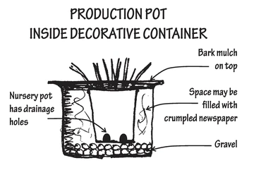 Illustration of a production pot inside decorative container