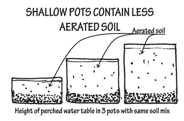 Illustration of shallow pots containless aerated soil