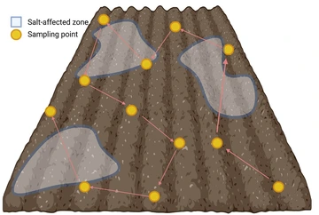 picking points across entire field for composit sampling