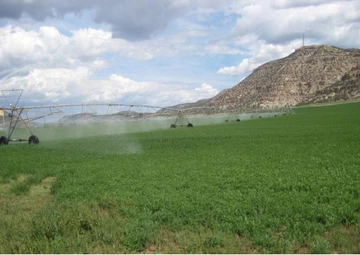 desert crop field sprinkler irrigation