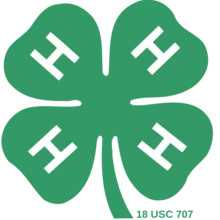 4H logo