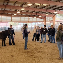 Woman standing in front of group of adults with pony in halter standing behind her