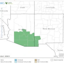 Map shwoing locoweed distribution