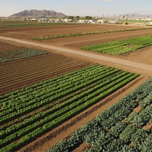 Arial view of yuma agricultural center