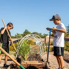 Photo of a school garden