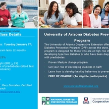 Diabetes Prevention Program Flyer