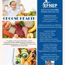 Choose Health Flyer