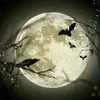 Illustration of bats flying