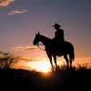 Person on horseback watches the sunset.