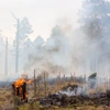 Photo of a wildfire