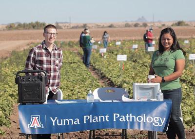 Yuma Plant Pathology Josh Furr and Bindu Poudel