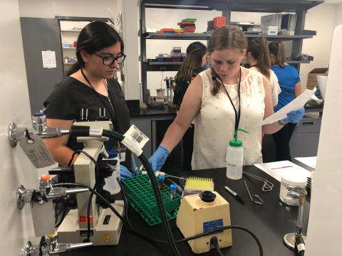 Exploring Science with help from UA Students and Staff