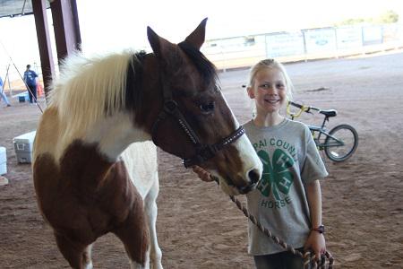 4-H member with paint horse