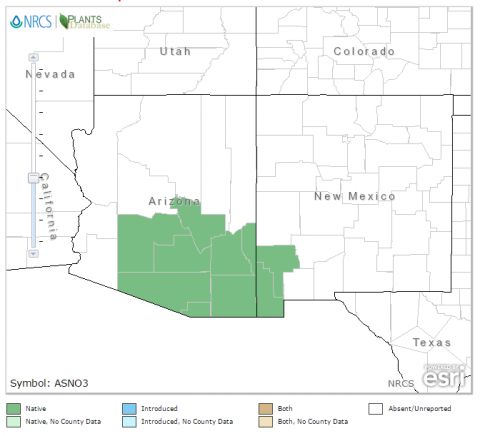 Locoweed Information Guide | Cooperative Extension | The University of