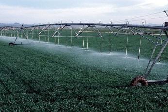 Pivot Irrigation Yuma