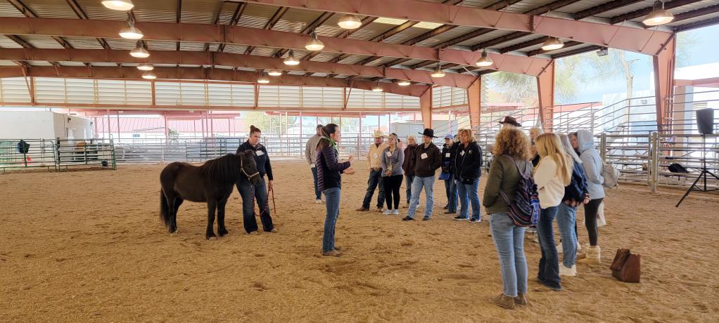 Woman standing in front of group of adults with pony in halter standing behind her