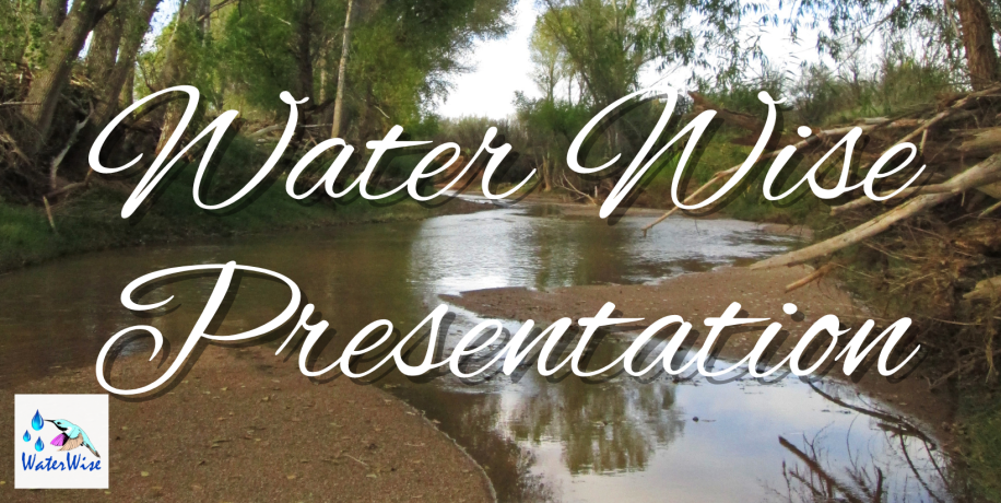 Low flowing San Pedro River in Cochise County, Water Wise presentation text