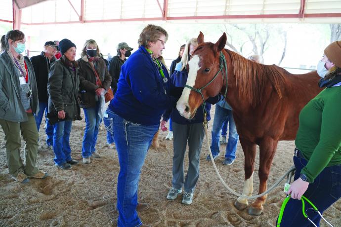 Dr. Betsy Greene demonstrates taking vital signs on horse