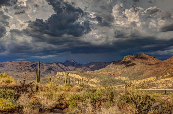 Arizona Landscape Monsoon Storm Approaching - Credit: Robert Murray