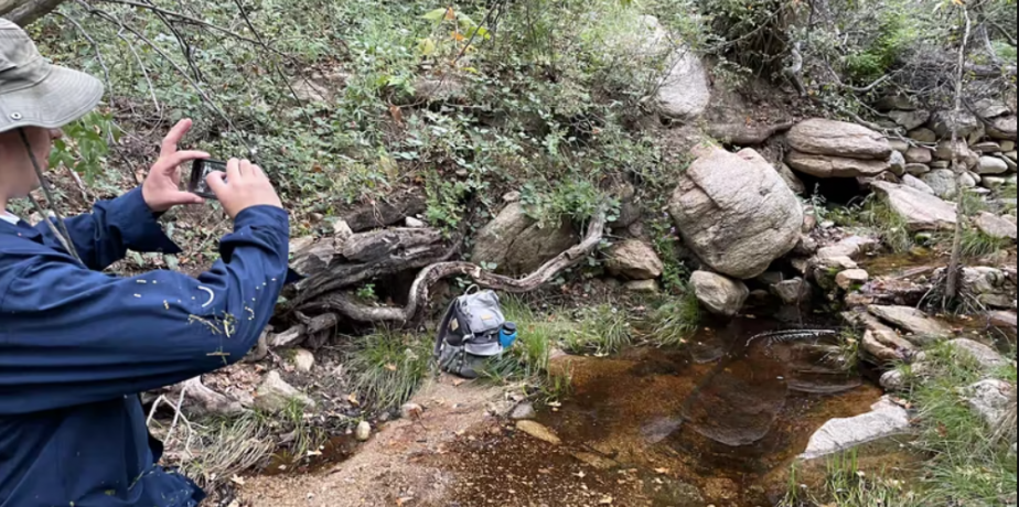 A light skinned person in a long sleeved blue shirt takes a picture of a mountain spring