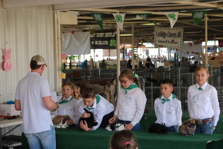 Pinal County Fair Cooperative Extension The University of Arizona