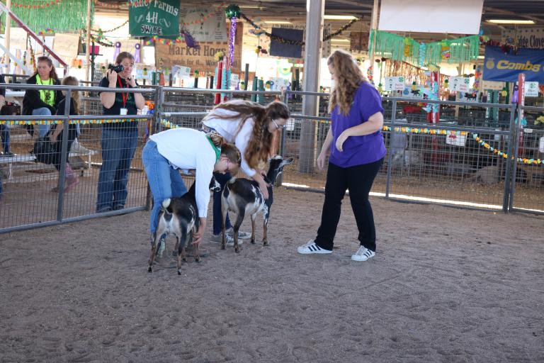 Pinal County Fair Cooperative Extension The University of Arizona
