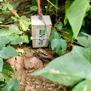 Close-up photo of a soil sensor